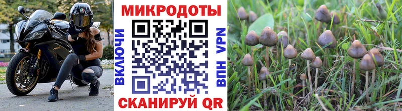 Галлюциногенные грибы прущие грибы  Ковдор 